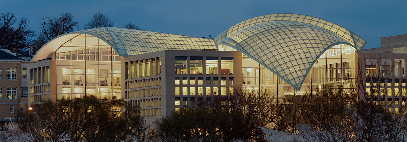 seele realized the membrane construction roof in the shape of a dove for the institute of peace in Washington, located at the opposite of the Lincoln Memorial. 
